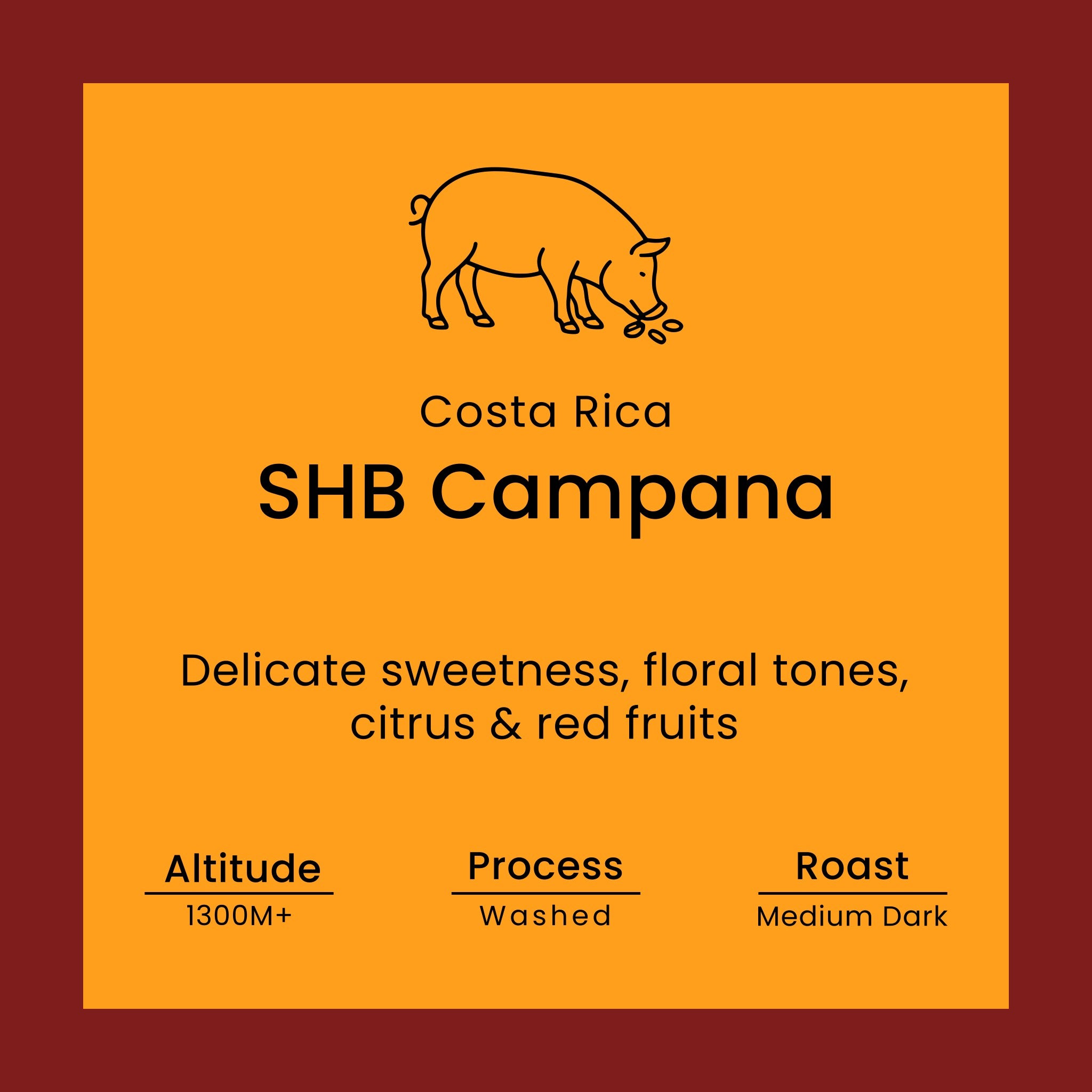 Costa Rica SHB Campana coffee label from Norfolk Pig Coffee Co.