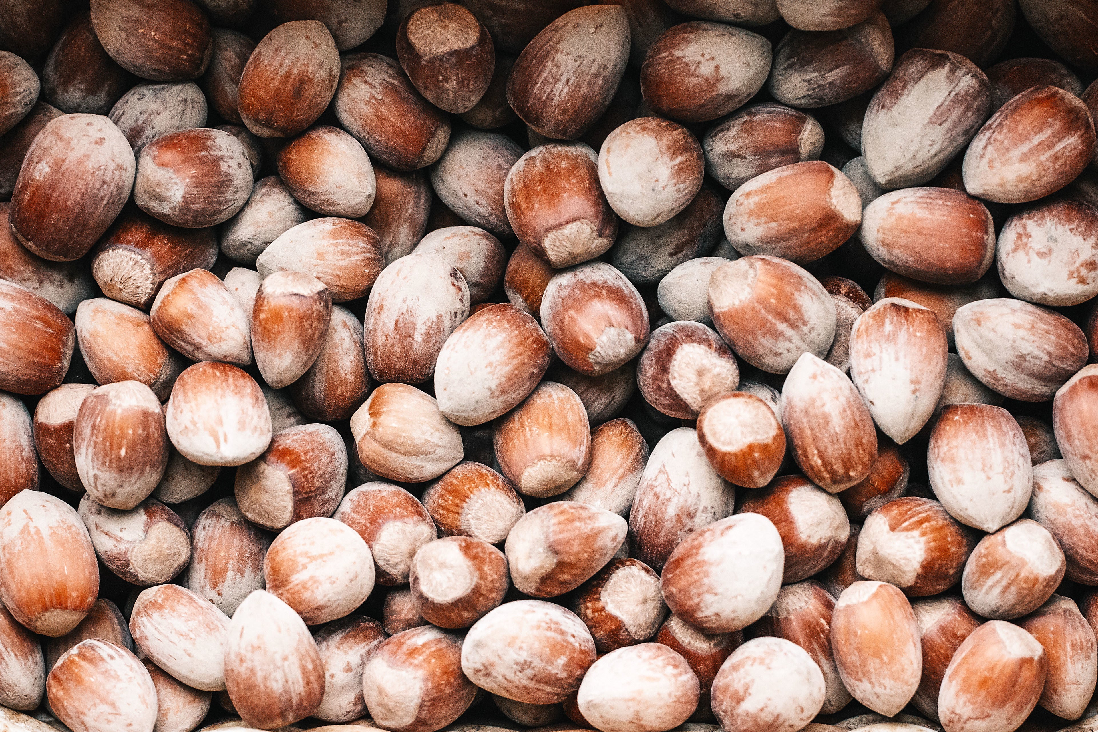 close up of chectnuts