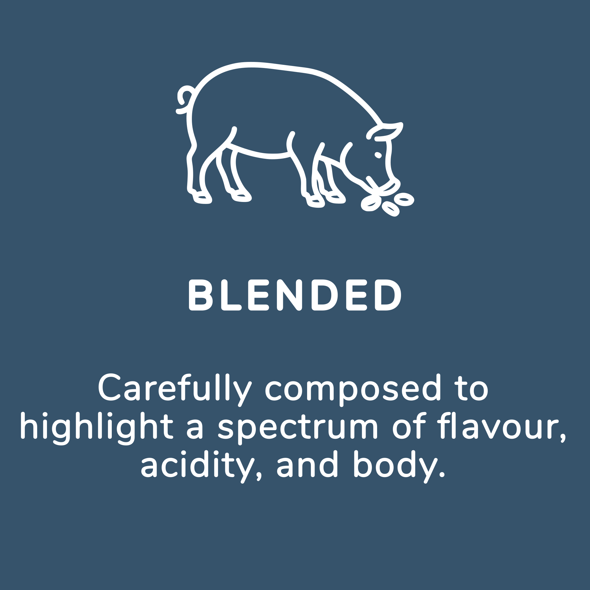 Blended Coffee | Expertly Crafted Flavours