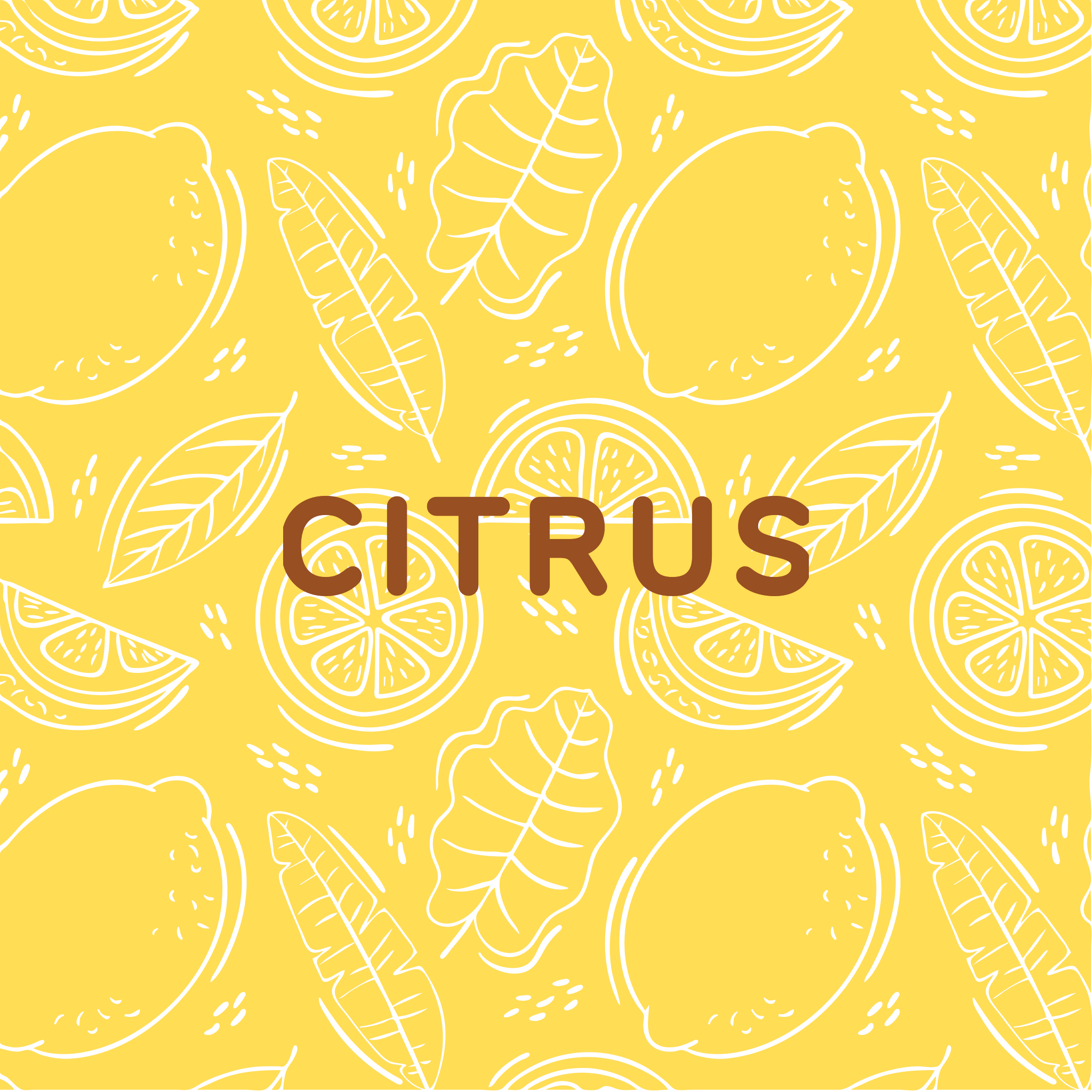 Citrus Tasting Coffee | Bright and Refreshing Flavour