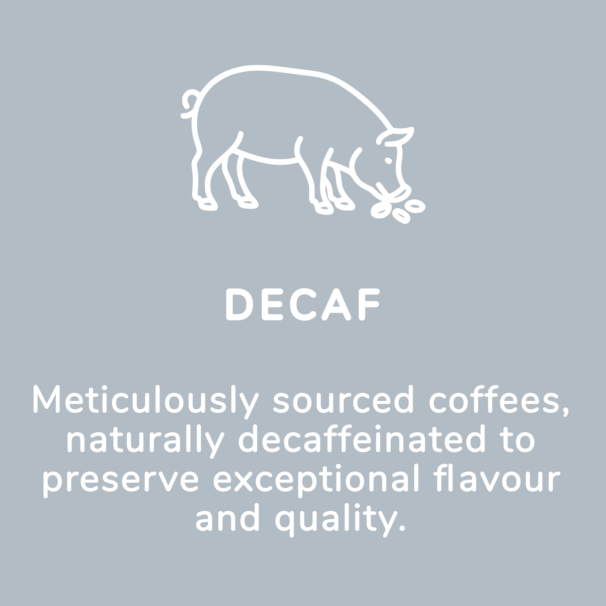 Decaf Coffee | Smooth Flavour Without the Caffeine