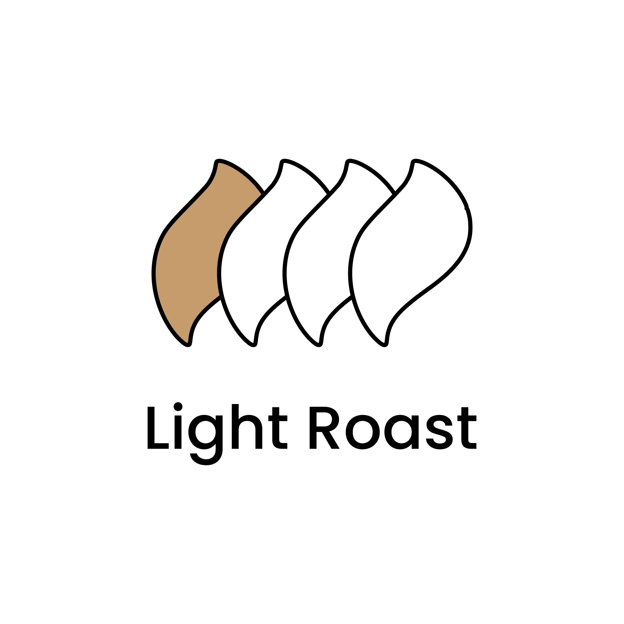 Light Roast Coffee | Smooth and Bright Flavour