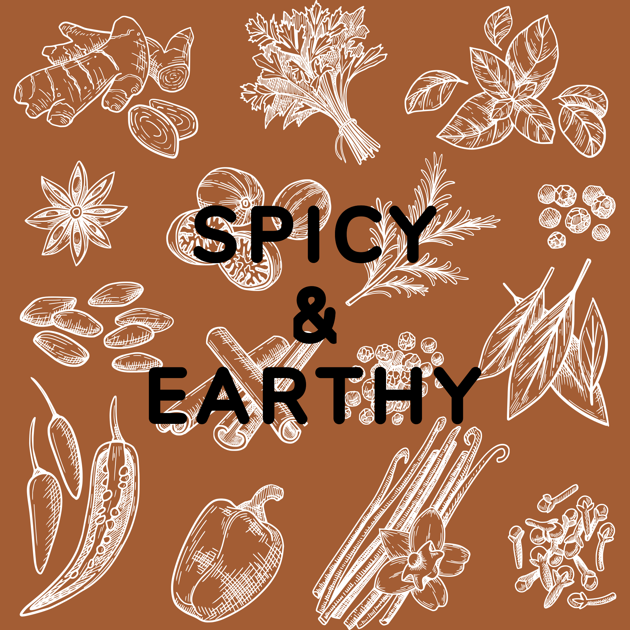 Spicy and Earthy Coffee | Bold and Full Flavour