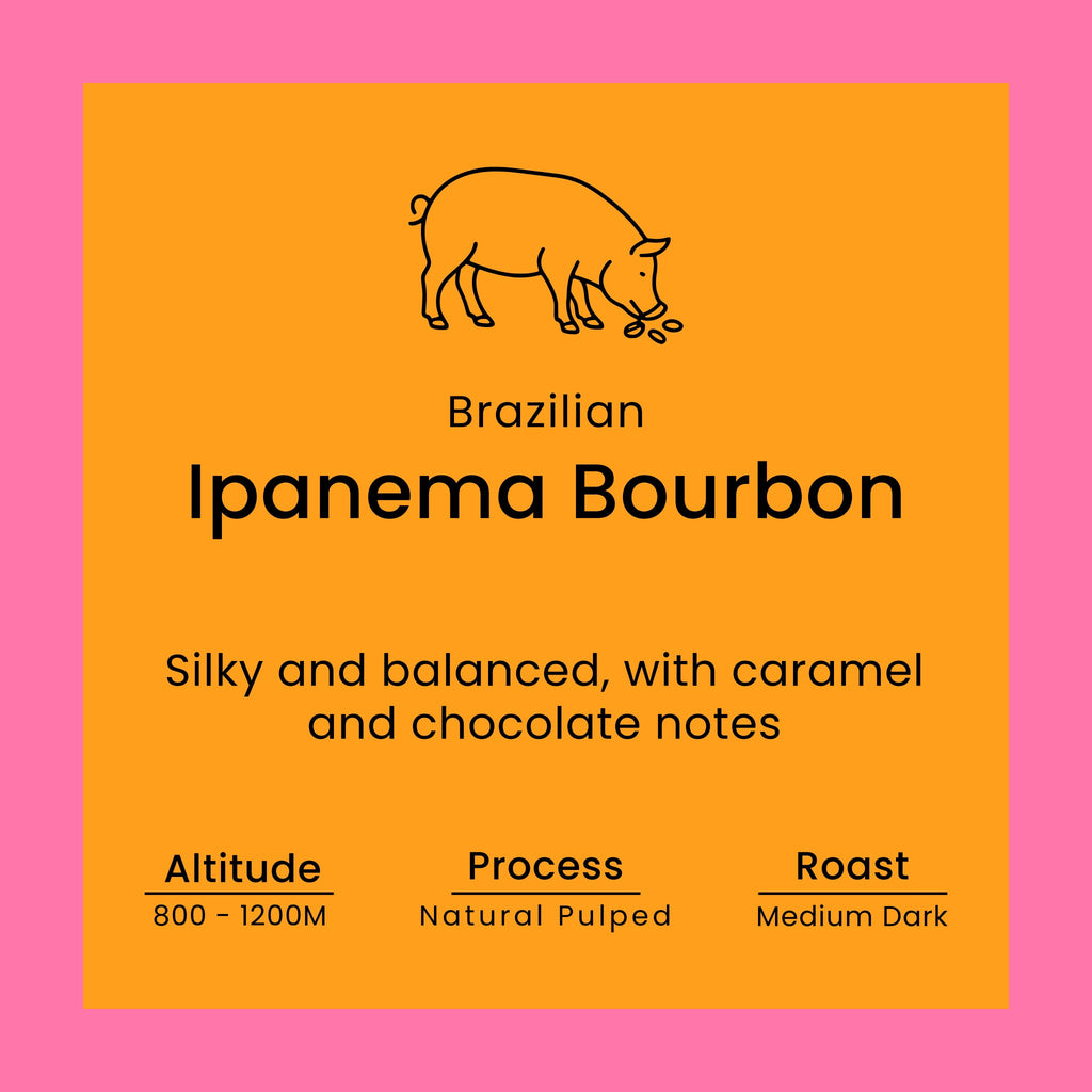 Coffee label for Brazilian Ipanema Bourbon with pig illustration on orange background