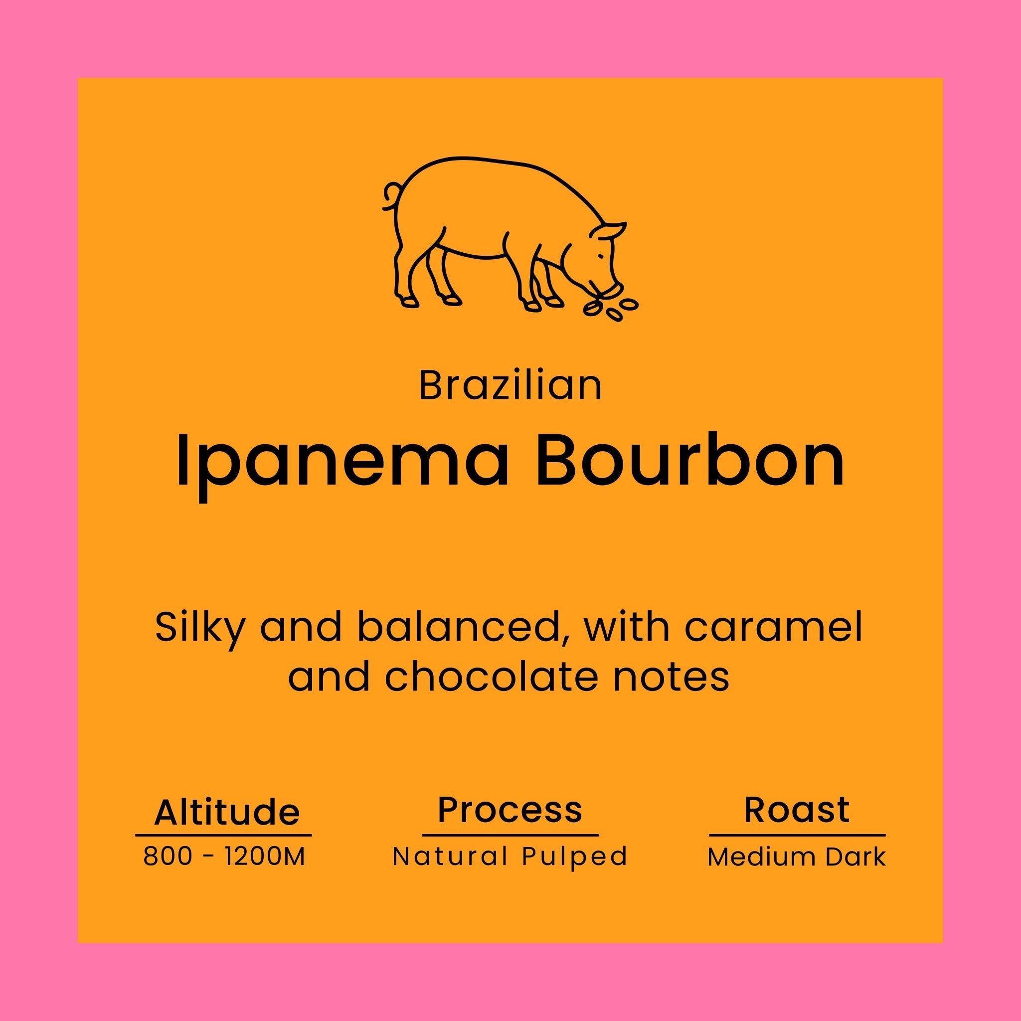 Coffee label for Brazilian Ipanema Bourbon with pig illustration on orange background