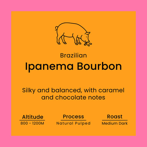 Coffee label for Brazilian Ipanema Bourbon with pig illustration on orange background