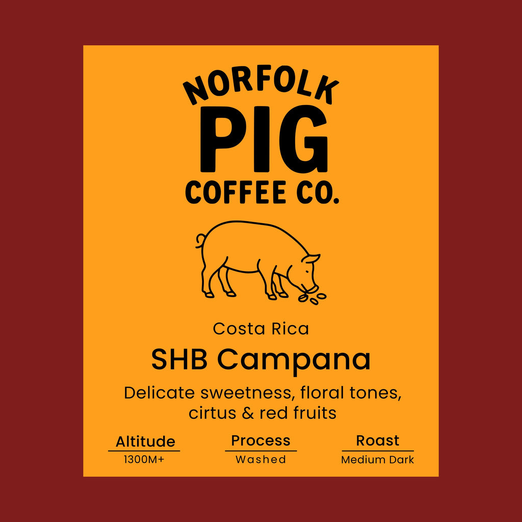 Costa Rica SHB Campana coffee label from Norfolk Pig Coffee Co.