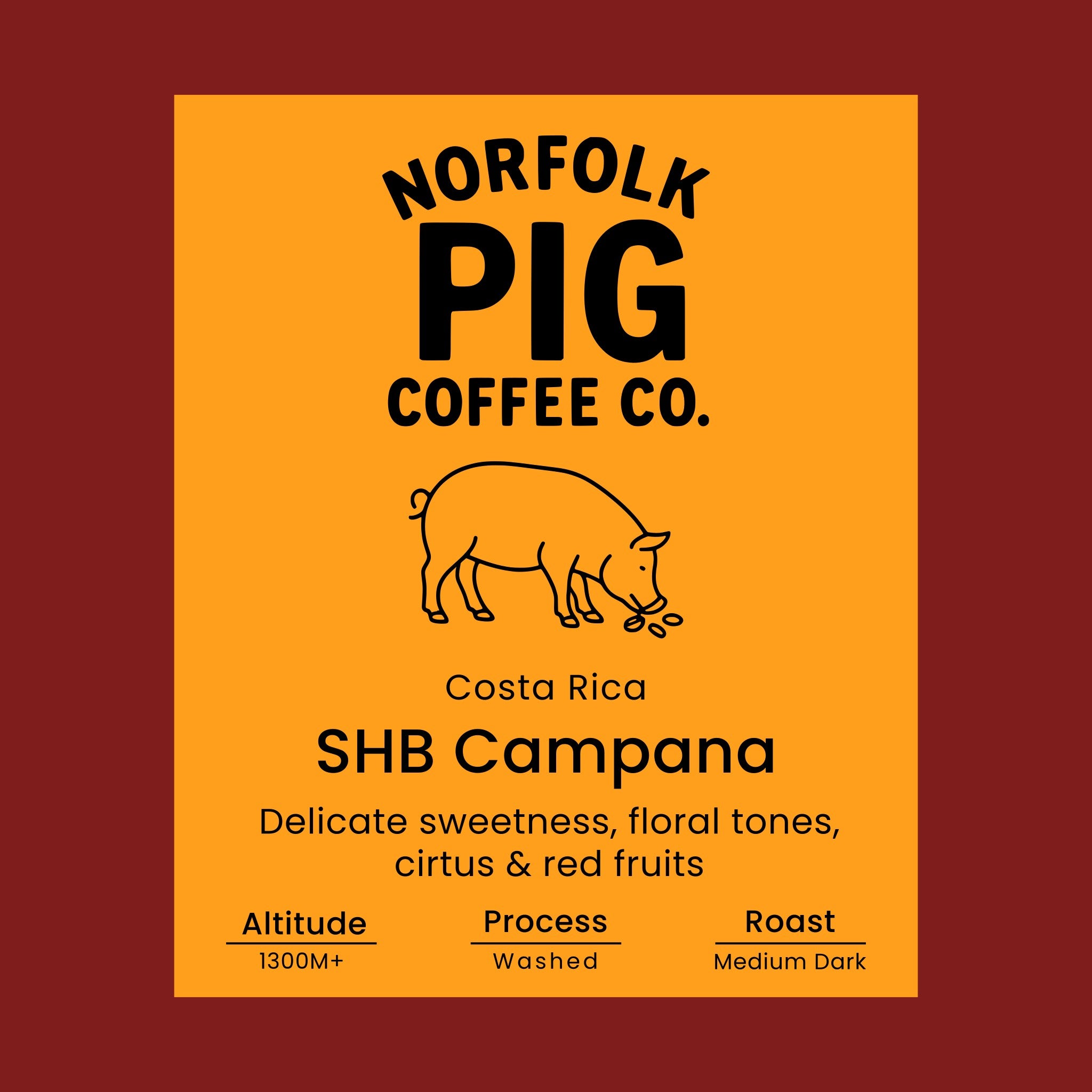 Costa Rica SHB Campana coffee label from Norfolk Pig Coffee Co.