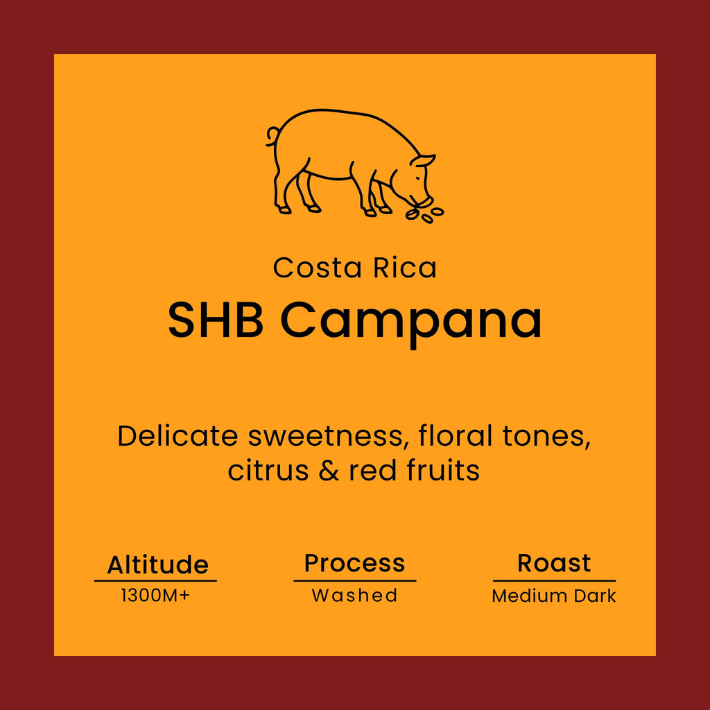 Costa Rica SHB Campana coffee label from Norfolk Pig Coffee Co.