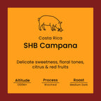 Costa Rica SHB Campana coffee label from Norfolk Pig Coffee Co.