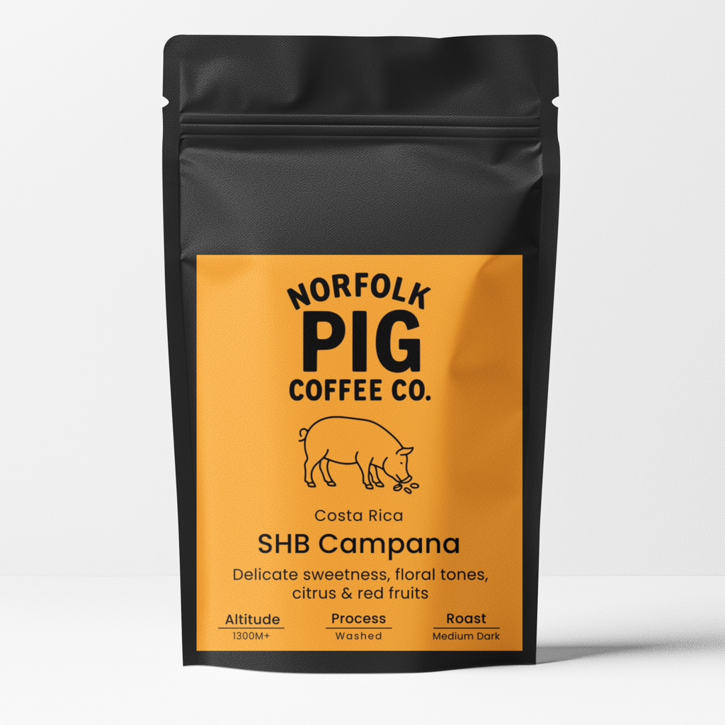 Costa Rica SHB Campana Coffee