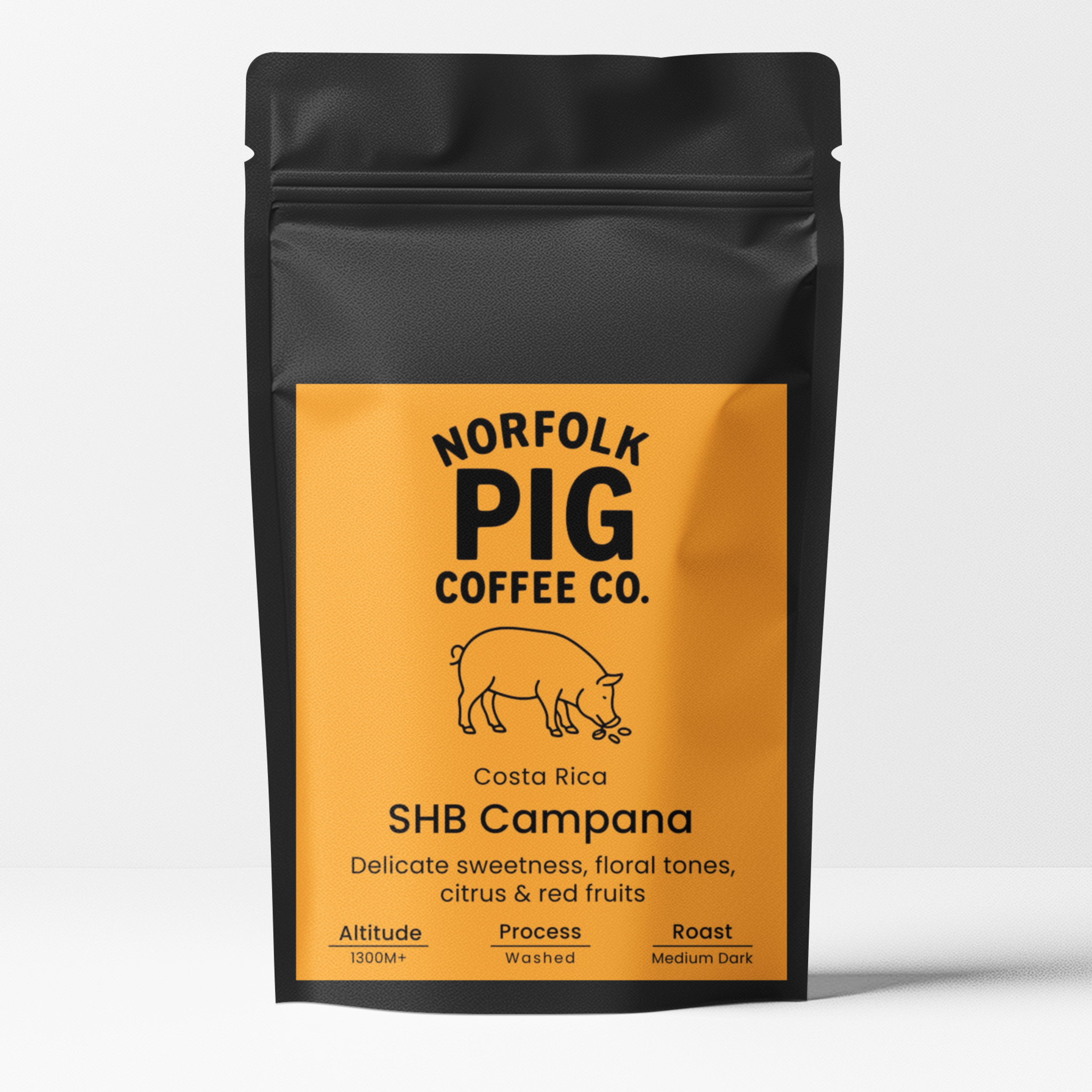 Costa Rica SHB Campana Coffee