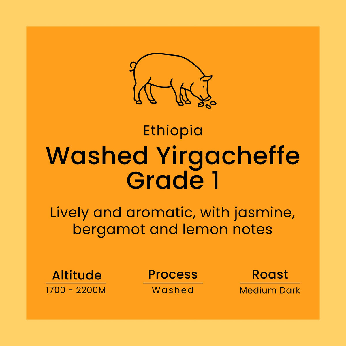 An orange square label with a simple black line drawing of a pig and text reading 'Ethiopia Washed Yirgacheffe Grade 1' plus descriptive flavor notes and roast/altitude details.