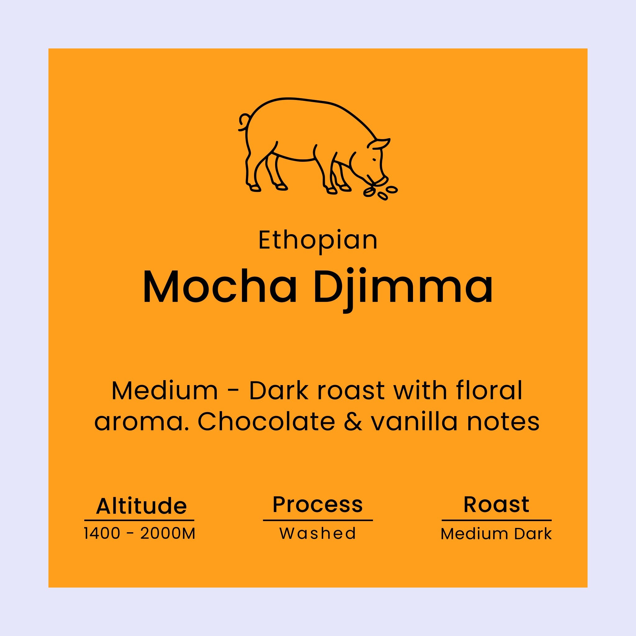 Coffee label for Ethiopian Mocha Djimma from Norfolk Pig Coffee Co.