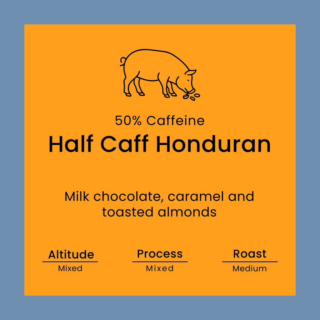 A square product label or packaging graphic with a bright orange center on a muted blue background. Black line art shows a pig at the top, with text reading '50% Caffeine', 'Half Caff Honduran', 'Milk chocolate, caramel and toasted almonds', and roast/processing notes at the bottom.