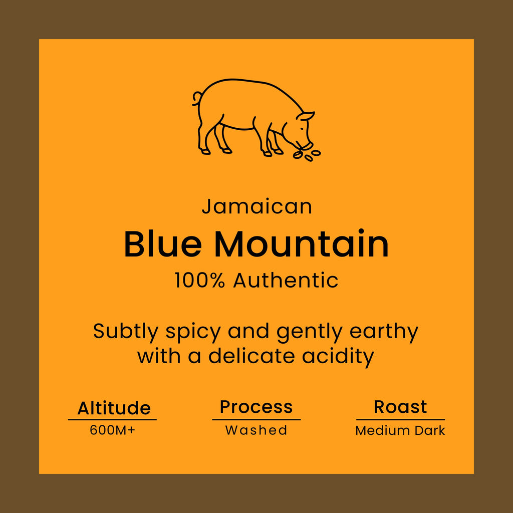 Jamaican Blue Mountain Coffee - 100% Authentic Blue Mountain