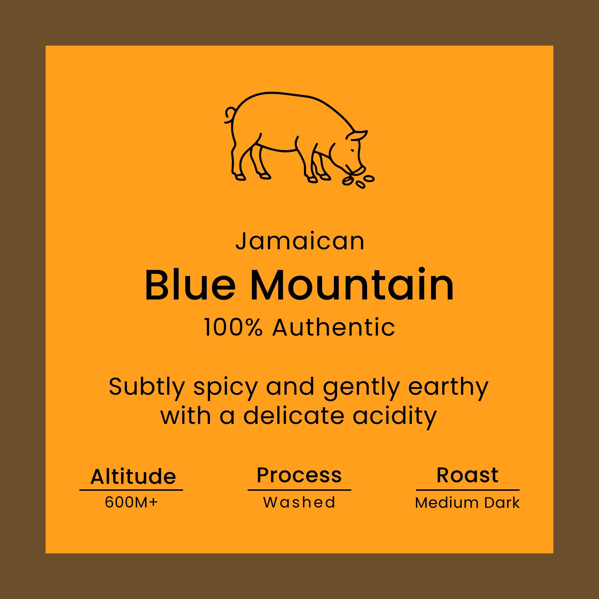 Jamaican Blue Mountain Coffee - 100% Authentic Blue Mountain