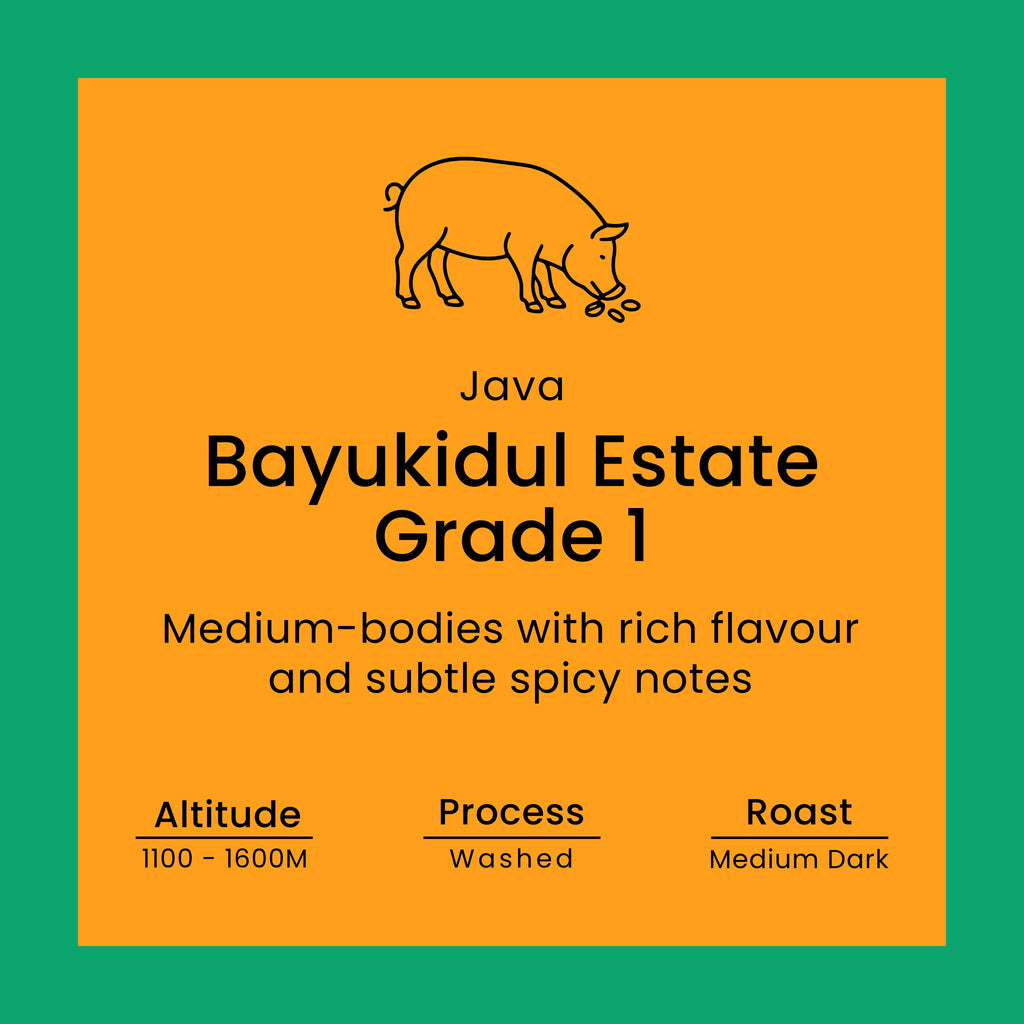 Java Bayukidul Estate Grade 1 coffee label from Norfolk Pig Coffee Co.