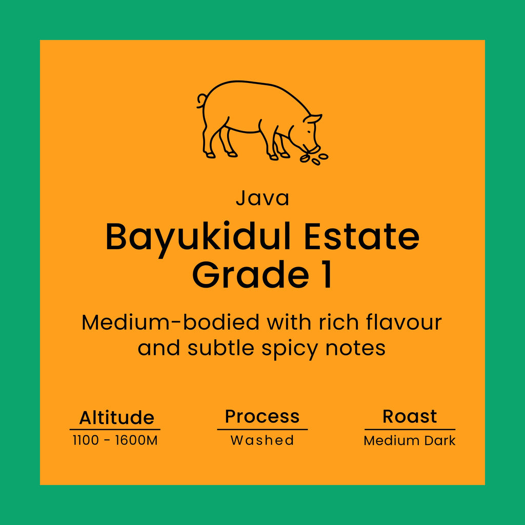Java Bayukidul Estate Grade 1 coffee label with a pig illustration on an orange background