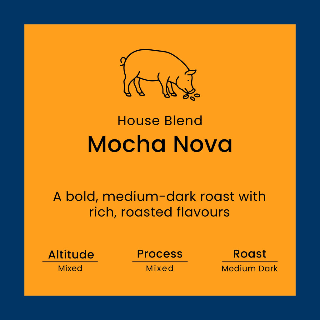 Mocha Nova coffee blend label from Norfolk Pig Coffee Co.