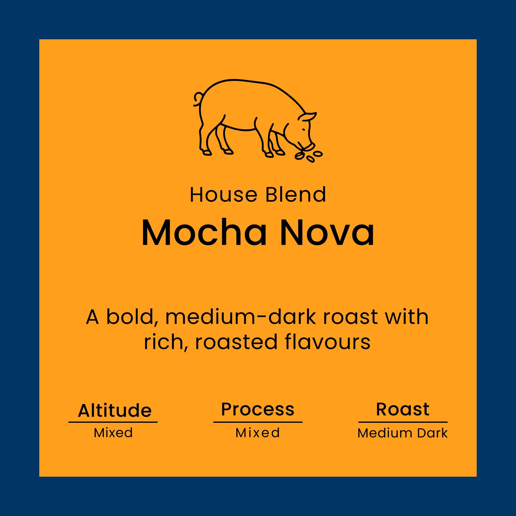 Mocha Nova coffee blend label from Norfolk Pig Coffee Co.
