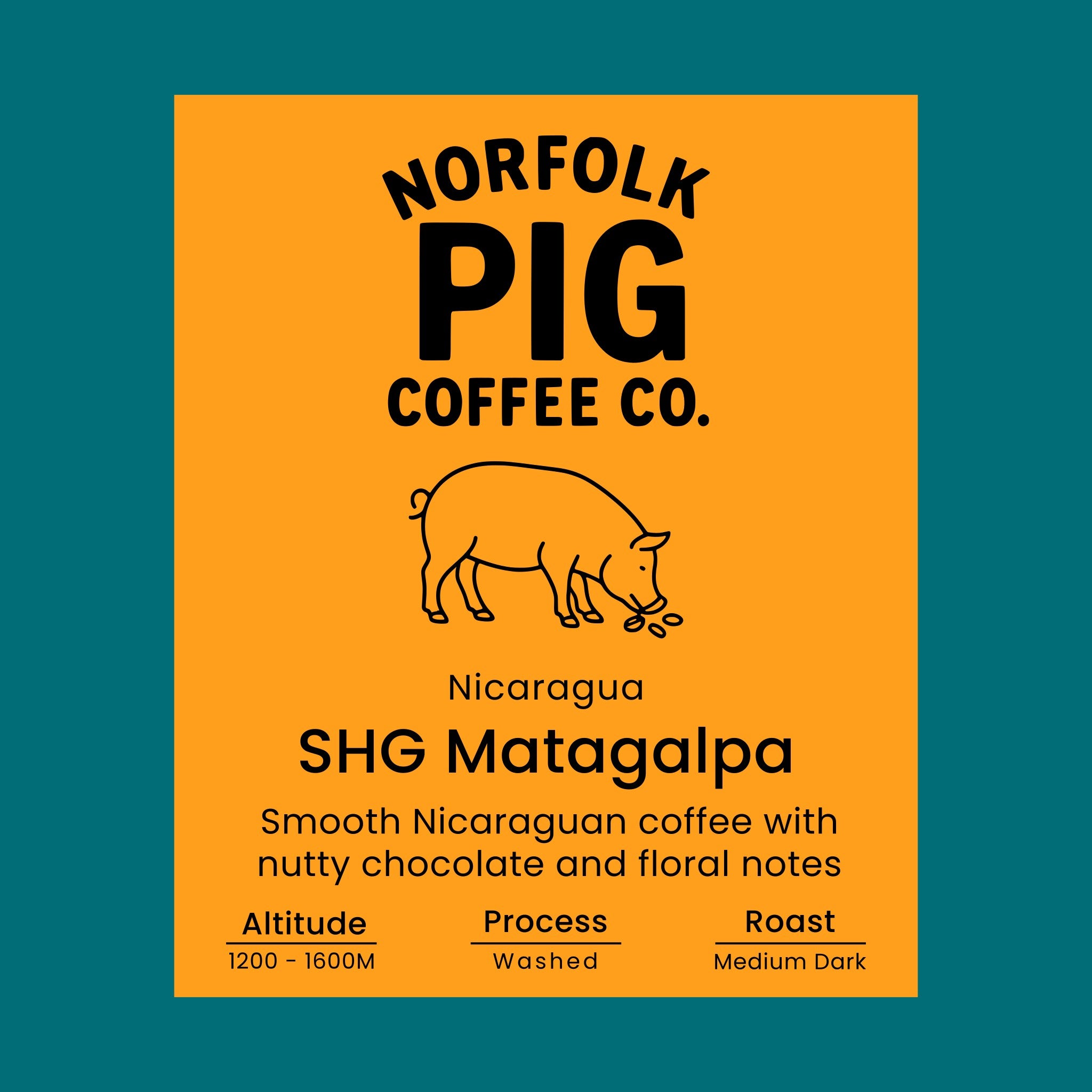 Nicaragua SHG Matagalpa coffee label from Norfolk Pig Coffee Co.