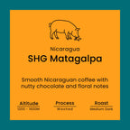 Nicaragua SHG Matagalpa coffee label from Norfolk Pig Coffee Co.