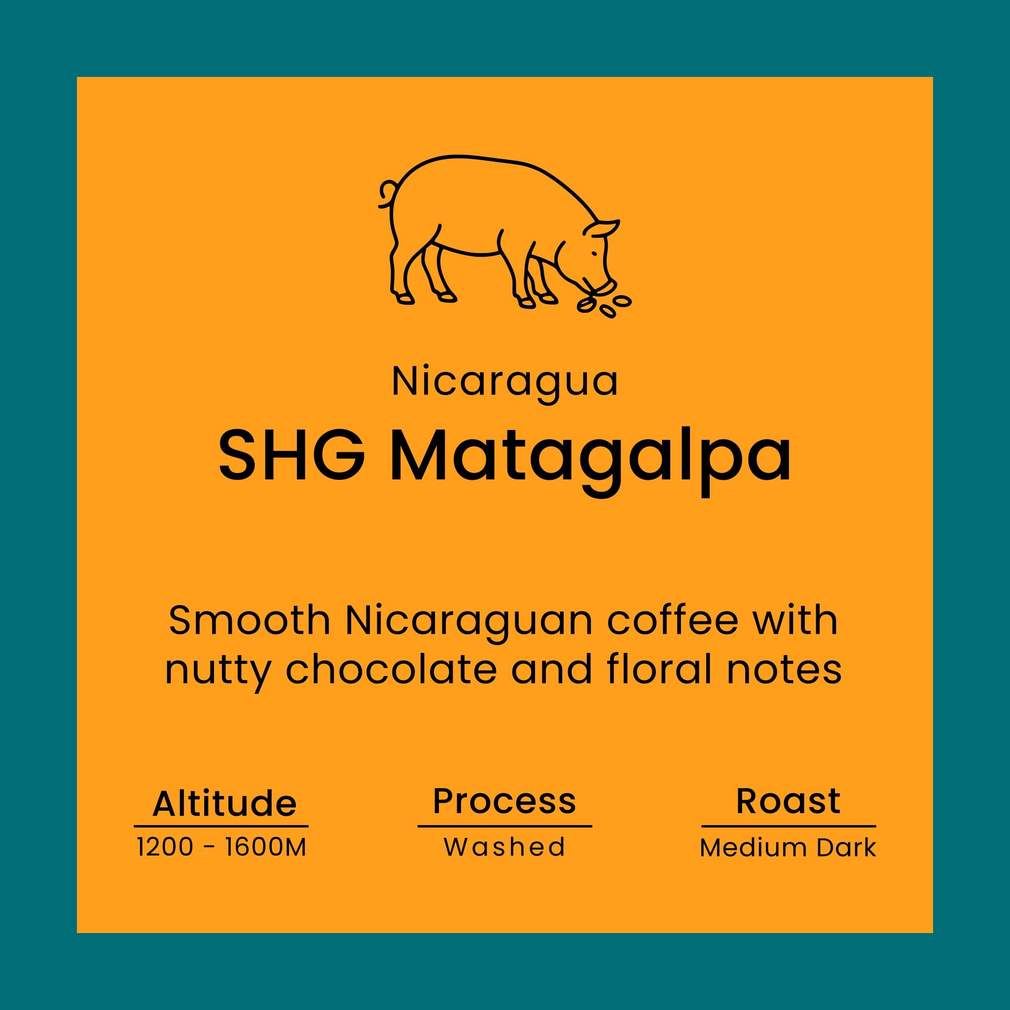 Nicaragua SHG Matagalpa coffee label from Norfolk Pig Coffee Co.